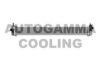 AUTOGAMMA 105923 Radiator, engine cooling